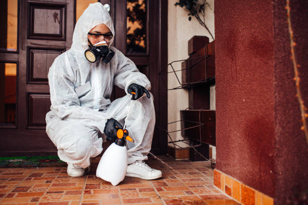 Attic and Crawl Space Rodent Treatment in New Bern